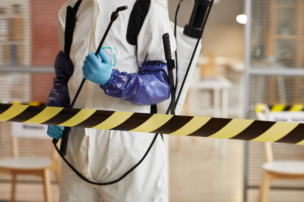 Professional Hoarding Cleanup technician working in New London, WI